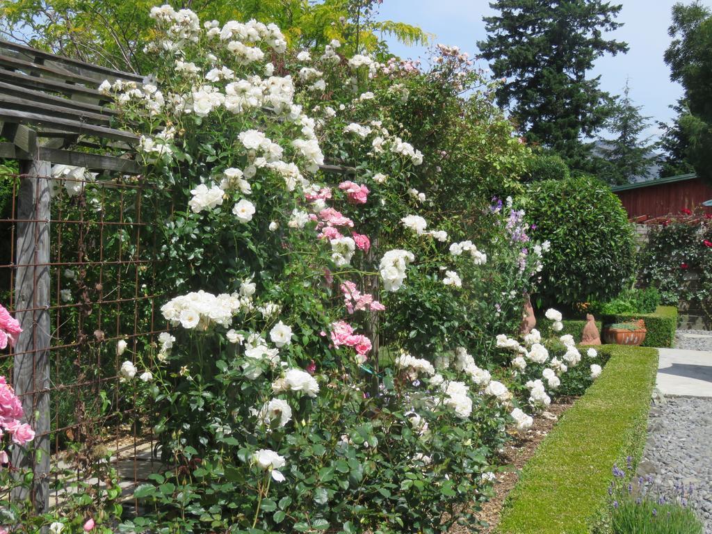 Marchmont Gardens Bed & Breakfast แฮนเมอร์สปริงส์ ภายนอก รูปภาพ