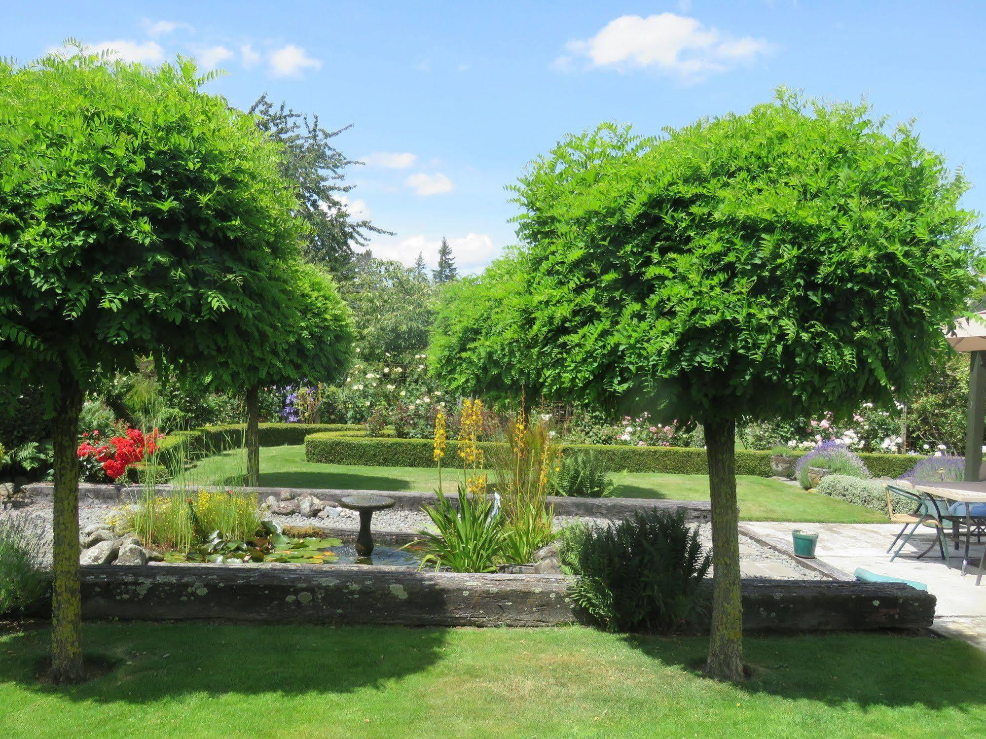 Marchmont Gardens Bed & Breakfast แฮนเมอร์สปริงส์ ภายนอก รูปภาพ