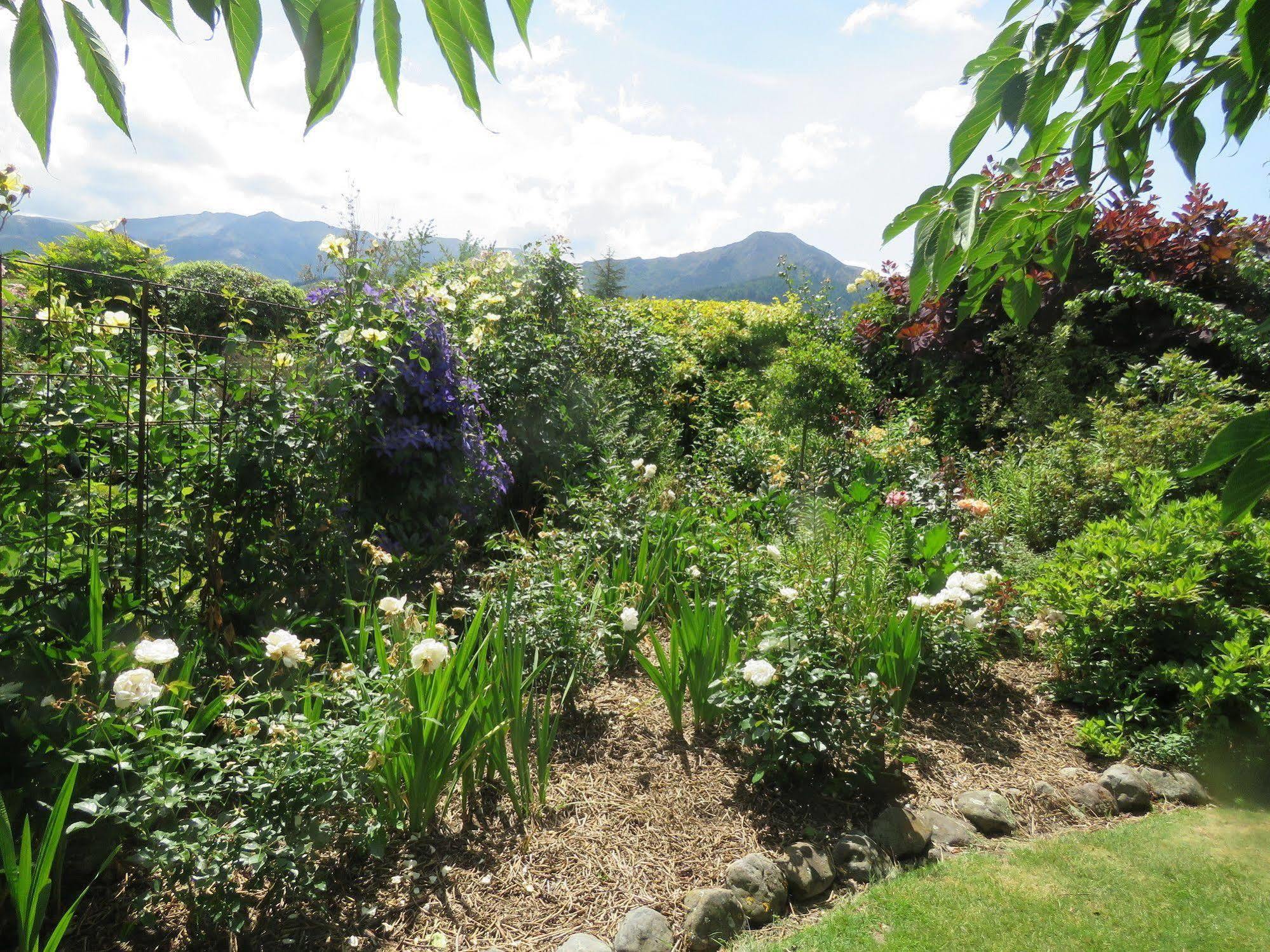 Marchmont Gardens Bed & Breakfast แฮนเมอร์สปริงส์ ภายนอก รูปภาพ